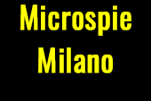 Microspie milano