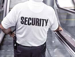 Security bodyguard